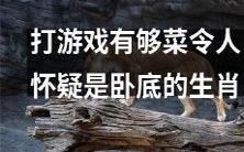 玩游戏太菜已经达到了让人怀疑是否是卧底的程度的生肖排名