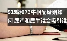 属鸡与属牛的配对探究:如何实现81鸡和73牛的婚姻?谁会更吸引对方?