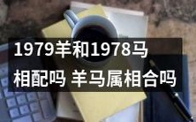 1979年出生的属羊者和1978年出生的属马者,它们的属相是否相配?它们的羊马属相是否能够相互合拍呢?