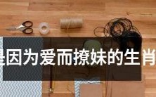 生肖男不是因为爱而进行挑逗女性的行为