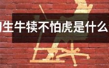 哪个生肖初生牛犊不怕虎?