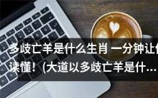 大道上的多歧亡羊:一分钟带你了解它是哪个生肖