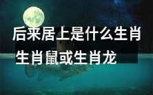 后来居上:究竟是生肖鼠还是生肖龙?探究此命题的哲学思辨