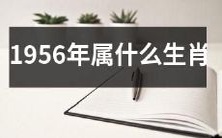 1956年出生的人属于哪个生肖?