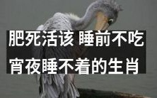 生肖宿命?不吃宵夜的你可能比吃宵夜的更容易变胖而难以入睡!