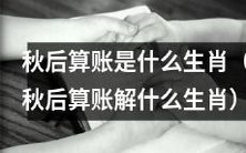 求助:秋后算账的属相是什么