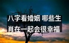 通过八字的分析,我们能得出哪些生肖的搭配可以带来一份幸福美满的婚姻?