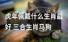 虎年宜佩戴哪些生肖珠宝?三者相合的马、狗、虎生肖更佳!