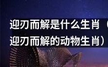 迎刃而解指代的动物生肖内涵是什么?