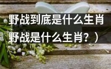 探讨野战是哪个生肖所代表的意义