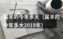 2019年属羊的人今年的年龄是多少岁?