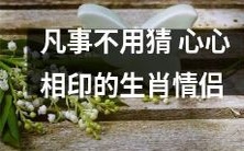 信任比猜疑更牢靠!探究12生肖的心心相印感情,揭秘如何建立理解、尊重和信任的健康关系!