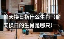 偷天换日行为涉及哪些生肖?