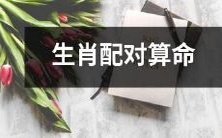 ——探究基于生肖的配对算命方法及其潜在影响力