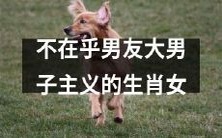 - 如何应对男友大男子主义的生肖女,以及她们内心真正的想法和情感?