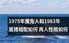 如何看待1975年属兔人和1983年属猪婚配的性格匹配度以及可能面临的挑战和机遇