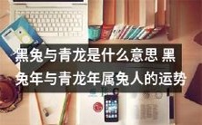 深度探究:黑兔与青龙的文化内涵及其对属兔人命运的影响分析