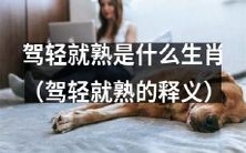 生肖驾轻就熟含义是什么,哪些生肖符合驾轻就熟的特征?