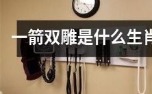 请问哪些生肖在文化与语言上被描述成具有“一箭双雕”的特征?