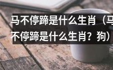 是什么生肖会被形容为‘马不停蹄’的动物?答案是哪个生肖?