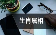 十二生肖属相及其所代表的文化、历史和传统背景