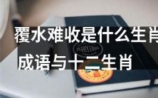 探究覆水难收与十二生肖之间的关系:哪些生肖可以被称作"覆水难收"成语?