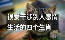 四大爱干预他人感情生活的生肖,他们为何总是觉得需要指导别人的情感抉择?