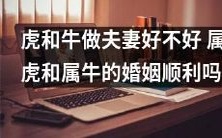 由于生肖的影响:属虎的男性和属牛的女性的婚姻是否美满幸福?