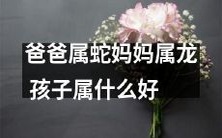 当父亲是蛇,母亲是龙,孩子应该属于什么生肖?如何进行生肖取舍?