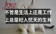 无论是生活还是工作,总是过度担忧的生肖人