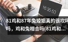 婚姻塞翁失马,81年鸡与87年兔的婚姻之路,有何浅见?探究鸡兔配对的相合与坎坷。