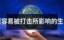十二生肖中容易受到打击影响的星座约莫何等?