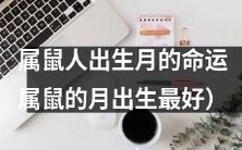 属鼠人的命运:探究与出生月份相关的影响