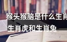 探究猴头猴脑的寓意和特征:对比生肖虎和生肖兔的差异与相似之处