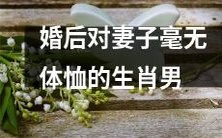 婚后缺乏体恤的生肖男士:对其妻子不关心、不理解、不包容的负面影响