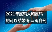 2021属鸡人和属鸡者是否适宜进行婚姻登记,是否有可能造成酉鸡自刑的现象?