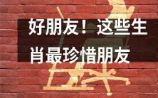保持友谊的生肖!这些动物被认为最珍视朋友关系