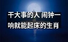 擅长迈向成功的人物——能够在闹铃声响起时立刻起床的十二生肖!