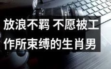 挥一挥衣袖,不羁放浪——打破工作束缚的十二生肖男子