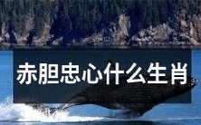 能够表现出赤胆忠心品质的十二生肖中,哪一个是最符合的?