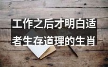 在职场历练中逐渐领悟适者生存哲理的十二生肖们