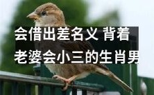 不道德男人假扮出差名义,用欺骗方式与小三纠缠,背着妻子违背家庭责任的行径!