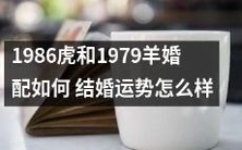 在1986年出生的虎和1979年出生的羊的婚姻是否能够成功,并探讨他们的结婚运势如何?