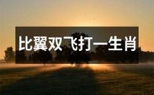 使用生肖猜谜的方式,进行“比翼双飞”的游戏!