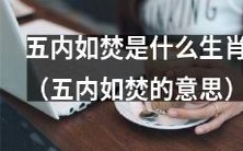 揭秘五内如焚的生肖含义:究竟是哪个属相在面临极度煎熬和痛苦中挣扎?