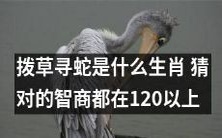 猜猜拨草寻蛇是哪个生肖,高智商至少要达到120分以上