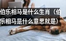 了解伯乐相马是哪一个生肖,其代表的意义是什么呢?