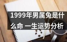 深入解析1999年属兔男性命格,详细探究其一生运势趋势与发展规律