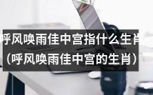 哪些生肖被认为是呼风唤雨佳中宫?