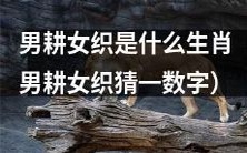 尝试重新构思一个更加引人入胜的标题: